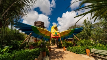 ARVORAR_ARNALDO DANTAS2 (1) (1)