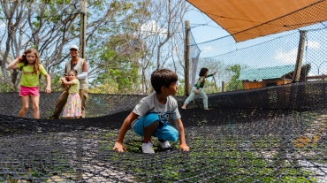 ARVORAR_ARNALDO DANTAS3-1