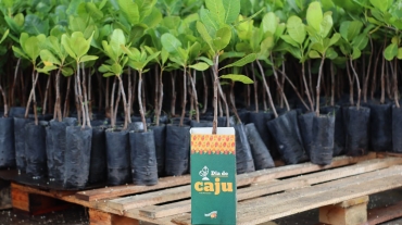 WhatsApp Image 2025-11-07 at 11.39.08