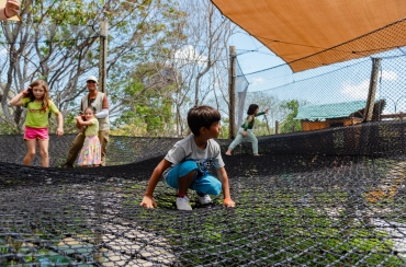 ARVORAR_ARNALDO DANTAS3-1